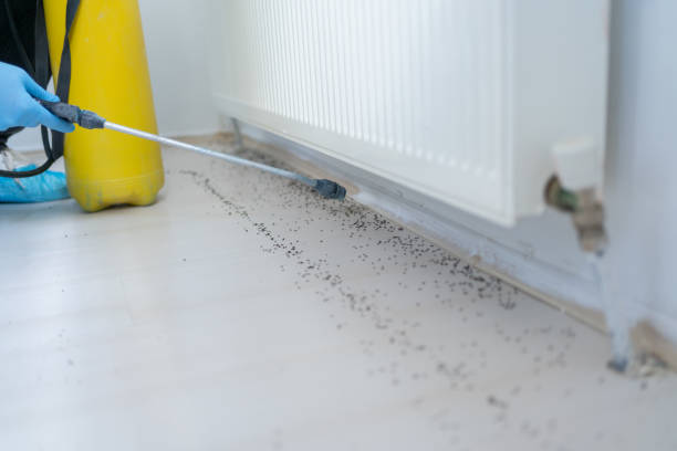 Best Best Pest Control Companies  in Thompsonville, CT